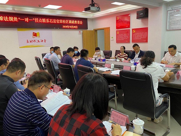 2-市民政局局长廖远飞率队到石岩街道官田社区开展“一对一”挂点联系街道推进党员干部联系服务群众工作.jpg
